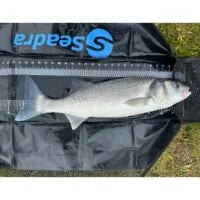 Seadra Weigh and Measure Sling – Specimen 120cm
